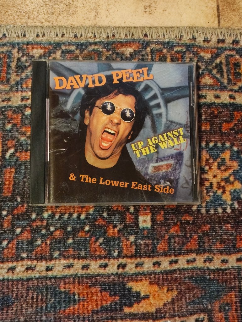 Cd van David Peel & The Lower East Side, CD & DVD, Enlèvement ou Envoi, Comme neuf, Folk rock, Autres types