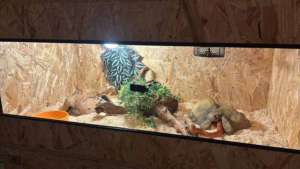1 osb terrarium, Dieren en Toebehoren, Reptielen en Amfibieën | Toebehoren, Ophalen, Zo goed als nieuw