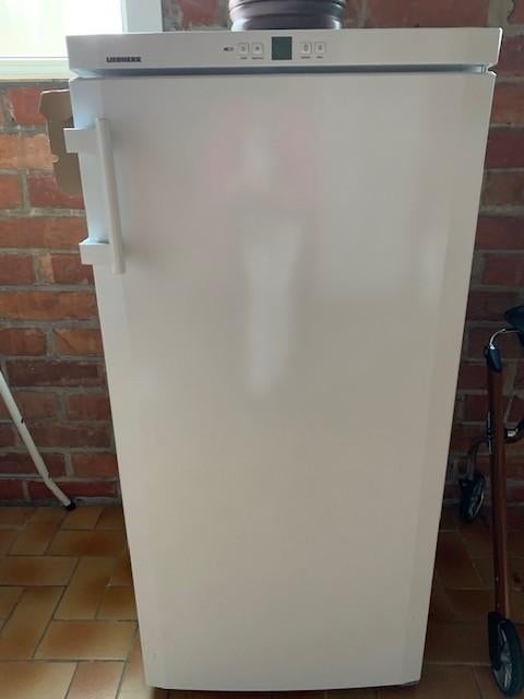 diepvries, Enlèvement, Comme neuf, Autoportant, Congélateur