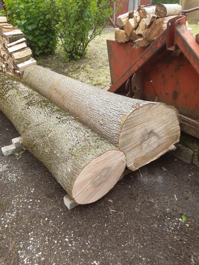 Boomstammen es, Tuin en Terras, Brandhout, Ophalen, Essenhout, Stammen