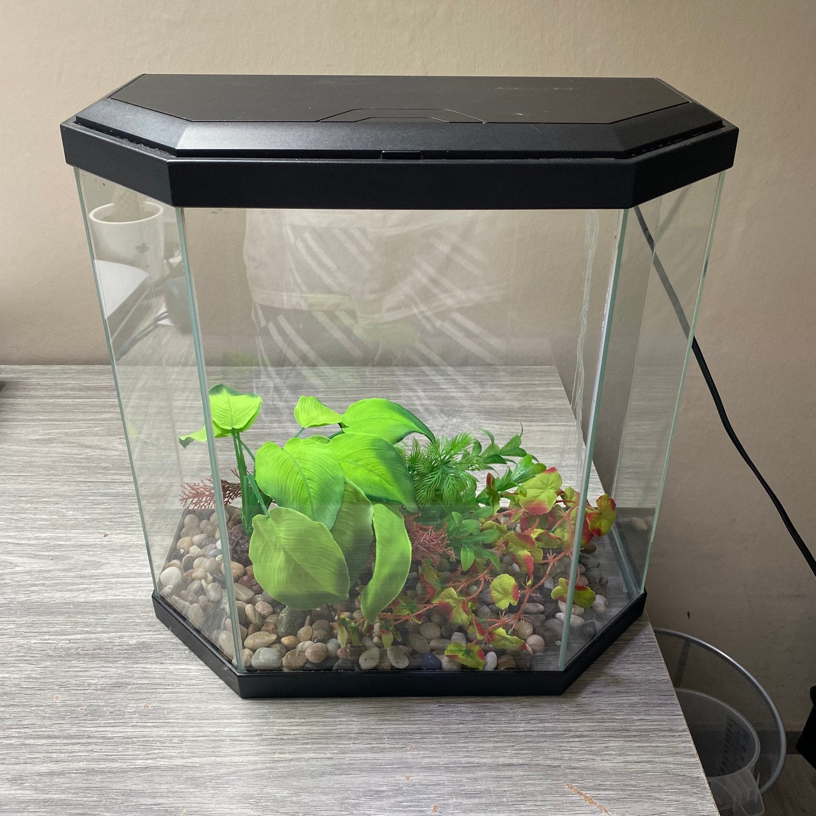 Drie aquariums en vele accessoires - Superfish, Tetra, Ciano, Aquarium vide, Enlèvement, Utilisé, Superfish