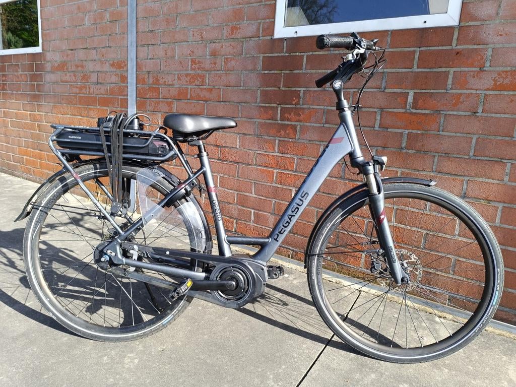 Limited edition pegasus elektrische fiets, Ophalen