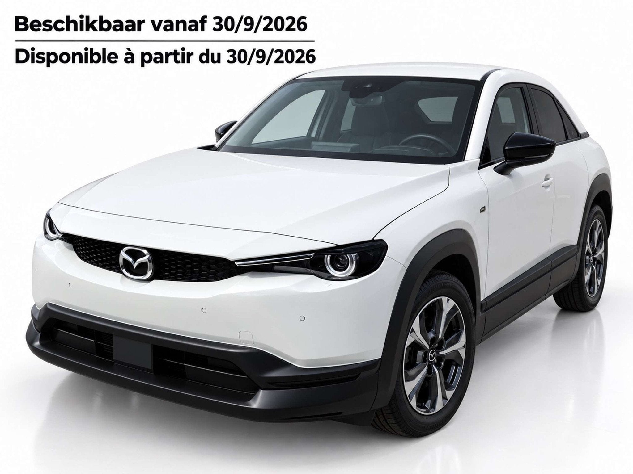 Mazda Elektrisch Garantie, Autos, Autres modèles, Achat, Entreprise, Carnet d'entretien