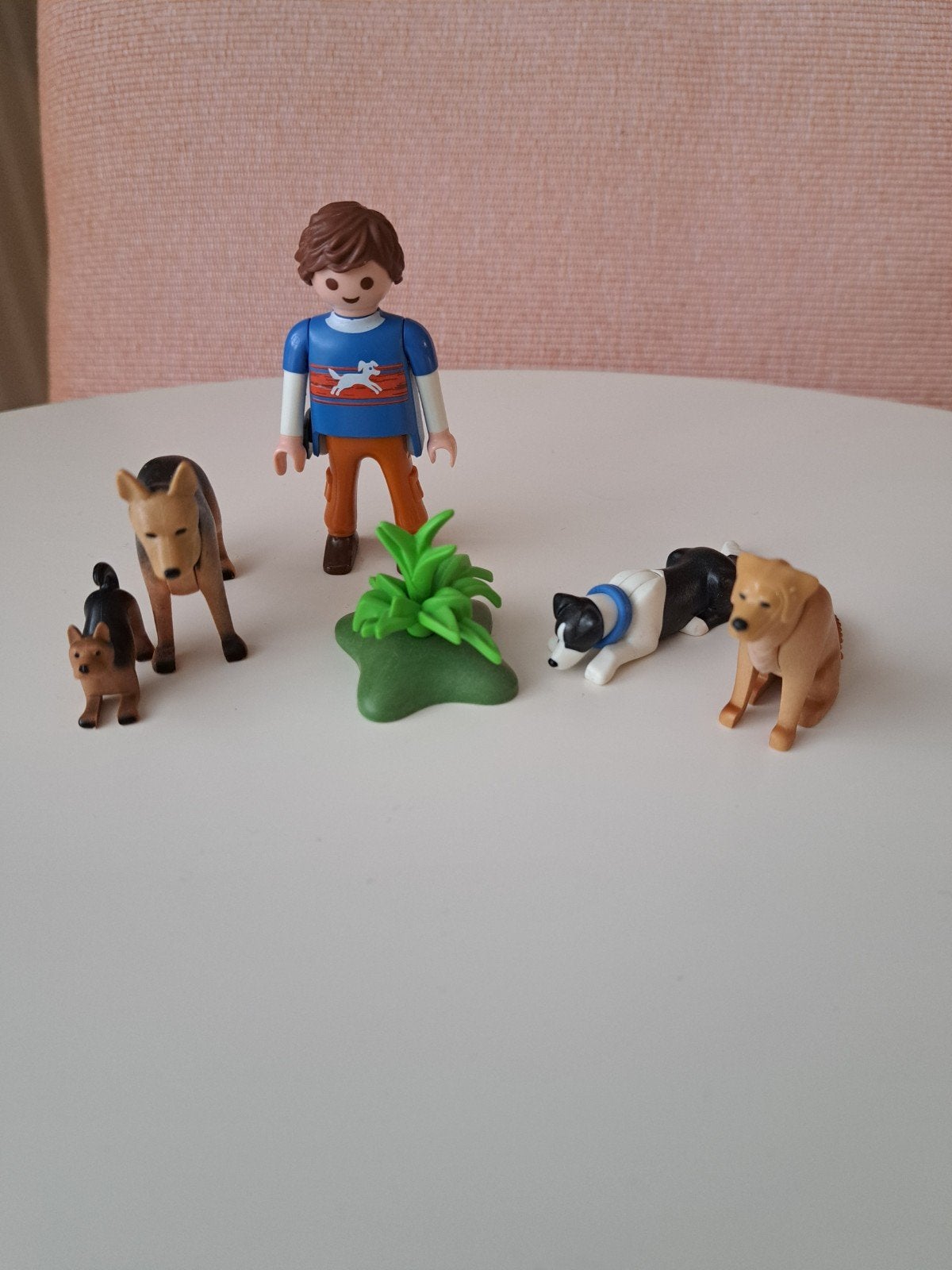 Pakket playmobil, Ophalen of Verzenden, Country