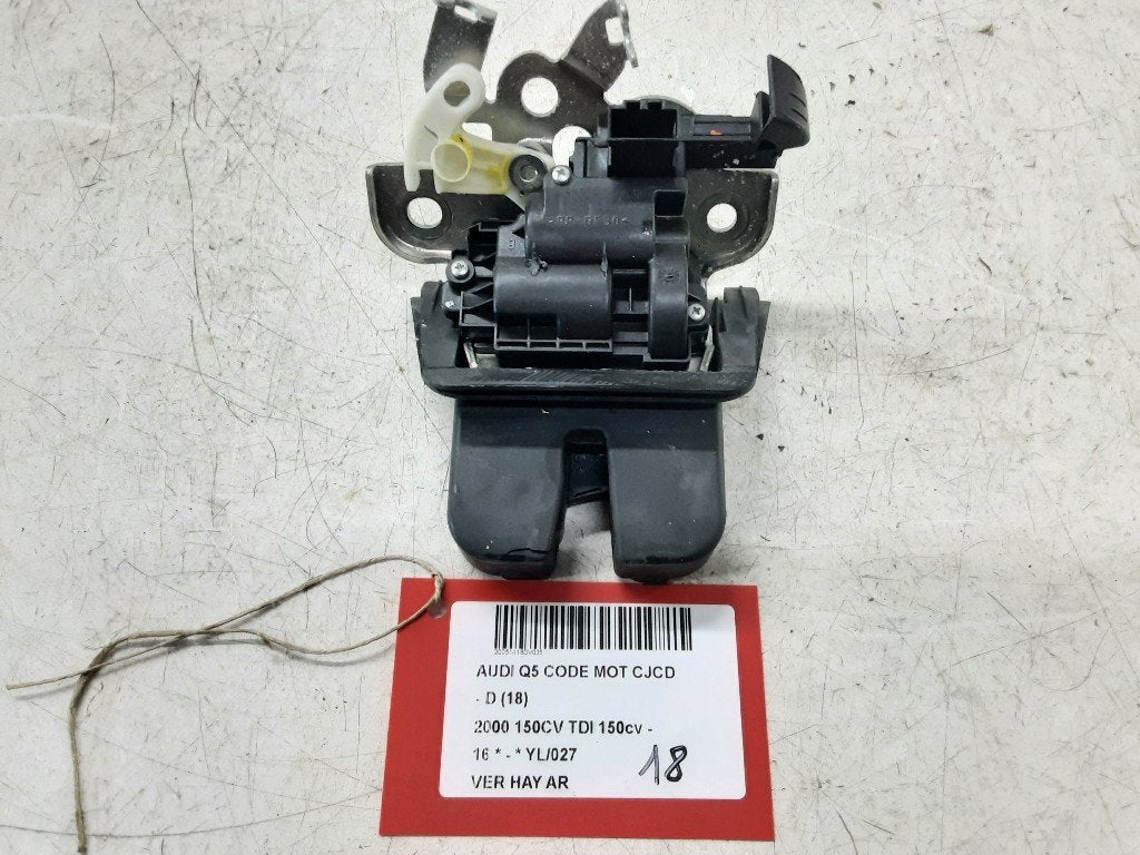 ACHTERKLEPSLOT Audi Q5 (8RB) (01-2008/05-2017) (8R0827505), Achterklep, Info@audi.de, Audi, Audi AG