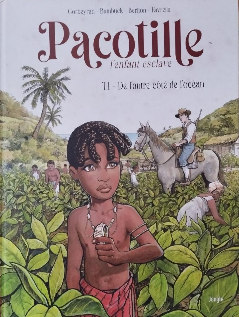 Pacotille, l’enfant esclave – 2 t., Livres, BD, Comme neuf, Plusieurs BD, Enlèvement ou Envoi
