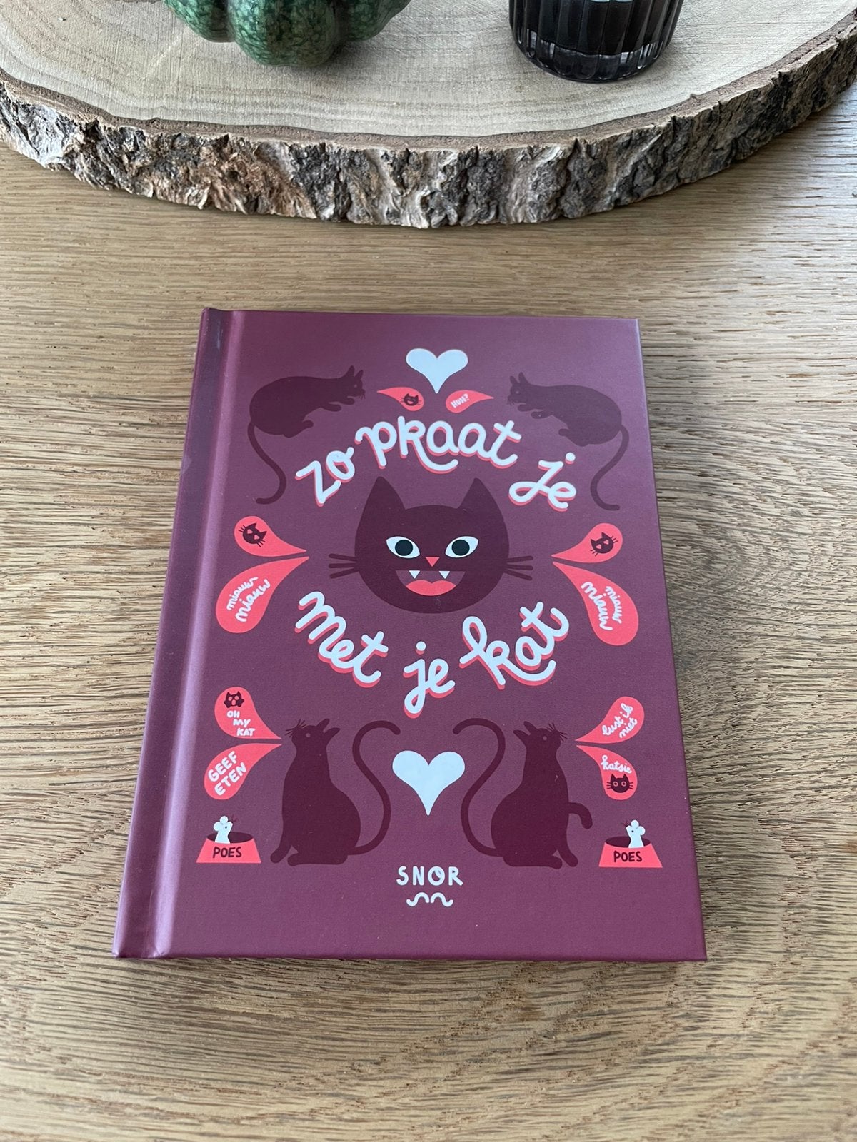 Boek ‘Zo praat je met je kat’ van Annemarieke Piers, Ophalen of Verzenden, Zo goed als nieuw, Katten