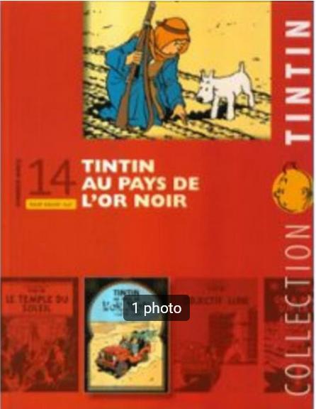 BD "Tout savoir sur Tintin au pays de l'or noir" D. Maricq, Neuf, Dominique Maricq, Enlèvement ou Envoi, Une BD