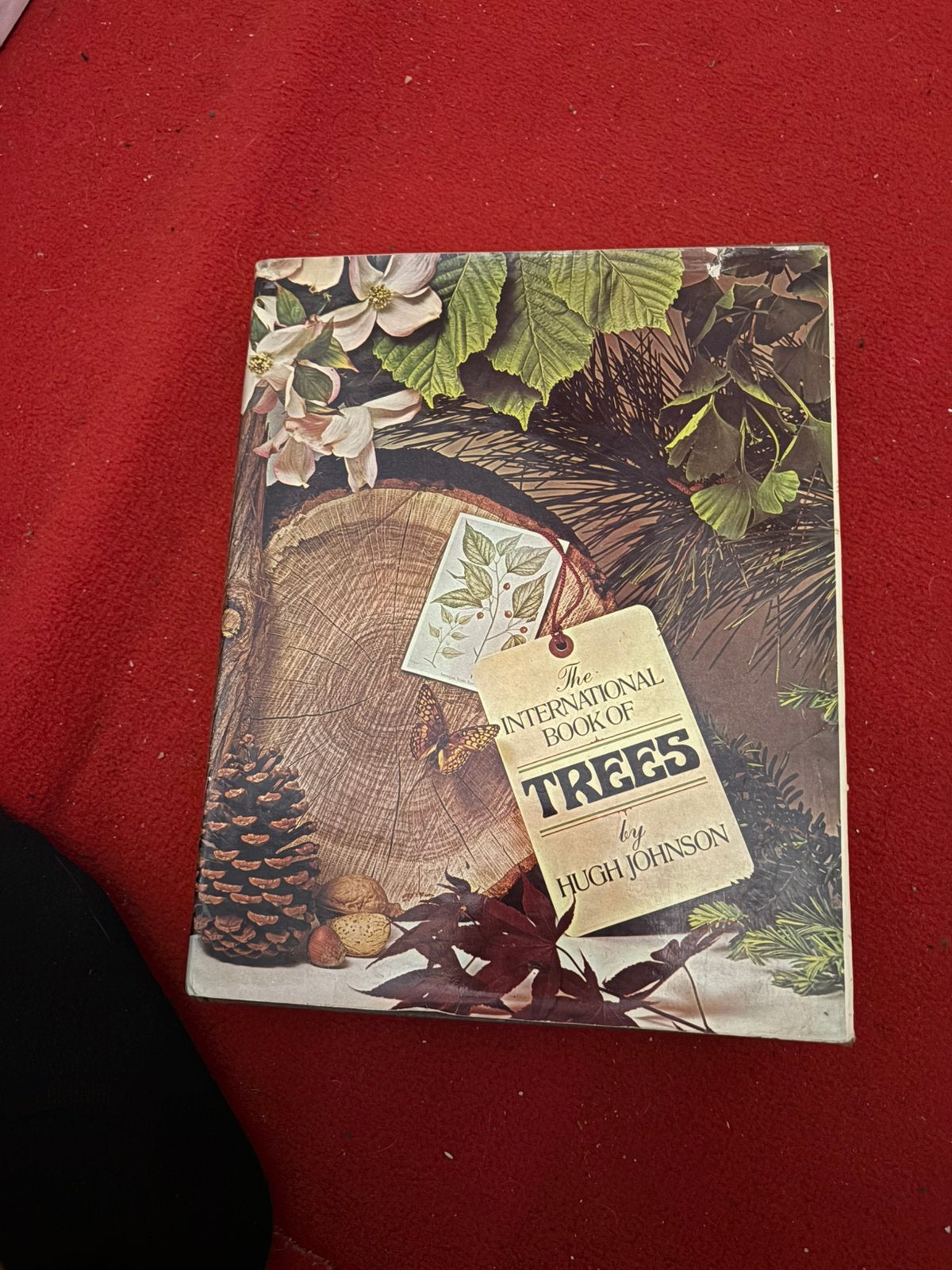 The • INTERNATIONAL BOOK OF TREES by HUGH JOHNSON, Boeken, Boekenweekgeschenken, Ophalen of Verzenden, Zo goed als nieuw