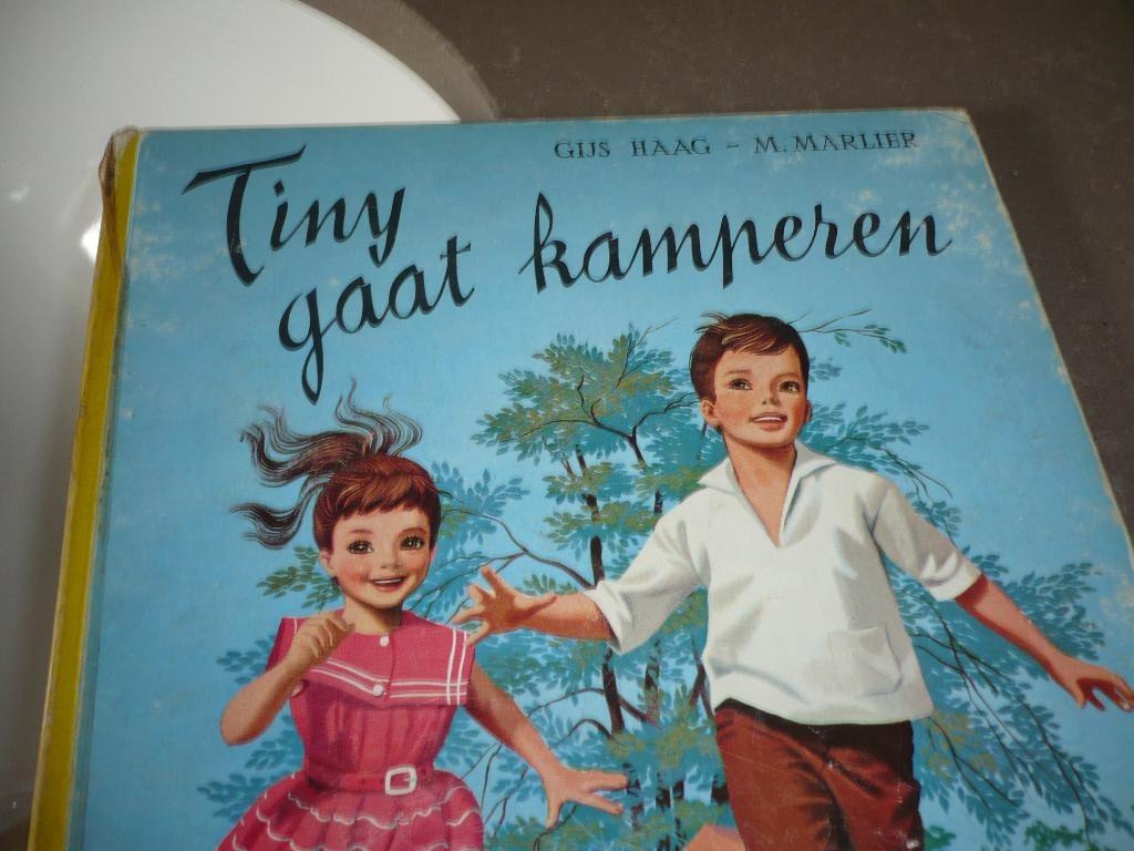 Tiny gaat kamperen 1960, Boeken, Ophalen of Verzenden, Gelezen, Sprookjes