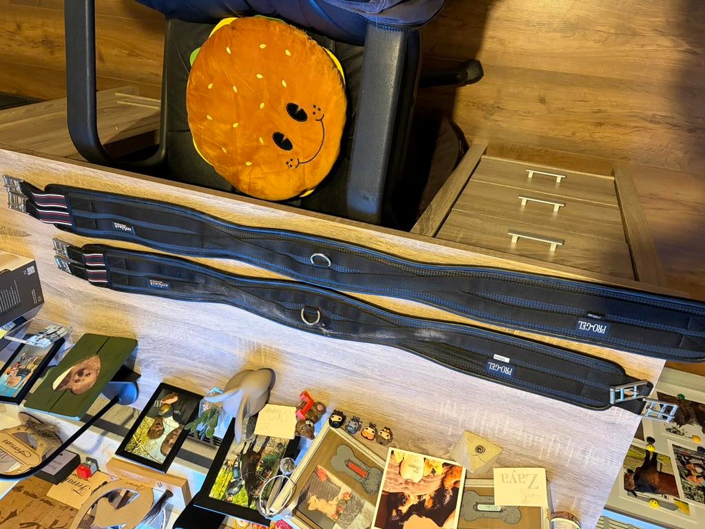 Verschillende singels, Animaux & Accessoires, Chevaux