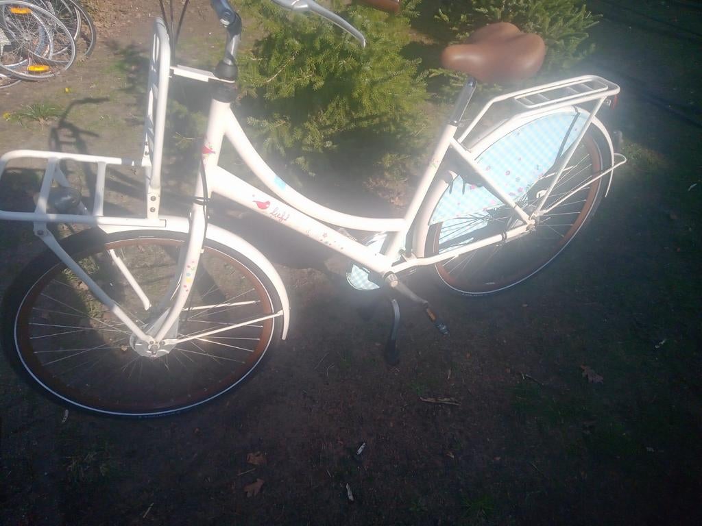 Damesfiets, Fietsen en Brommers, Ophalen