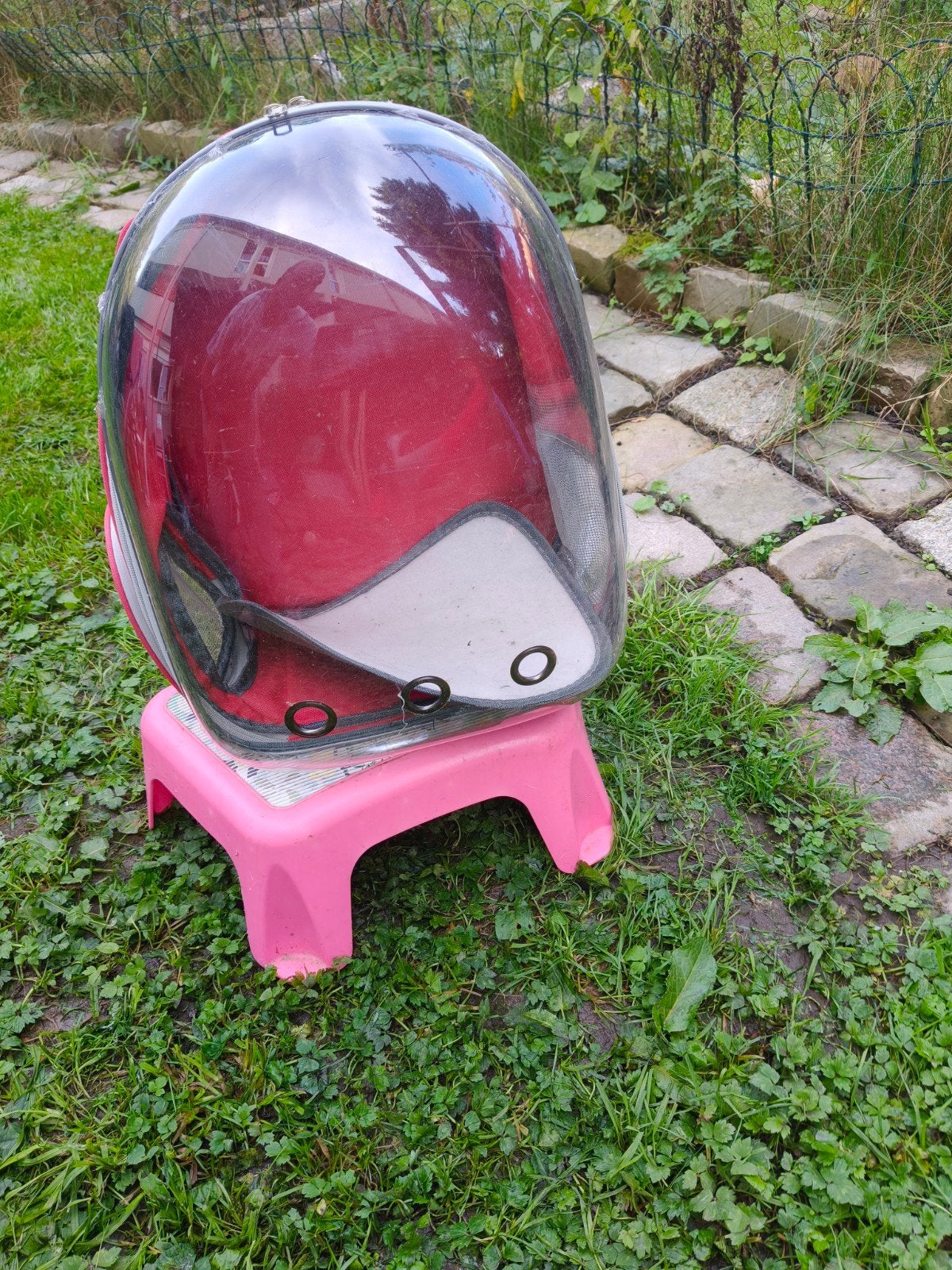 transporttas voor dieren, Ophalen, Gebruikt
