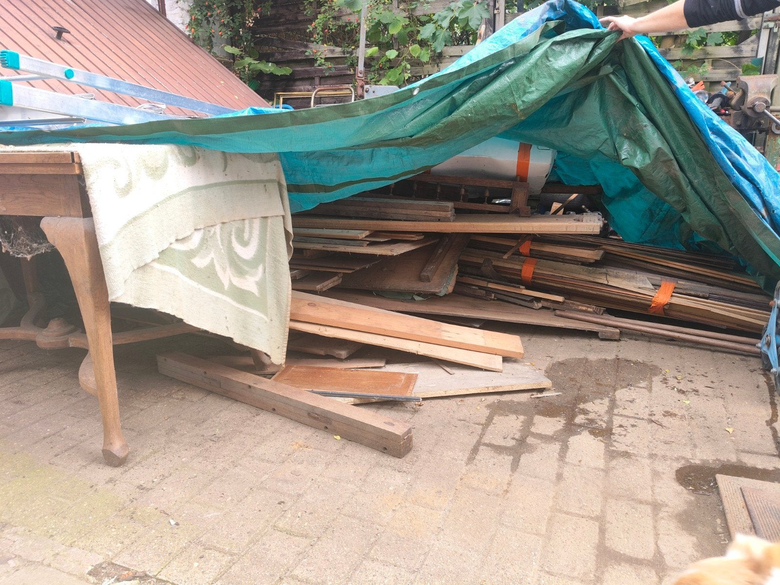 stookhout gratis ophalen, Tuin en Terras, Ophalen