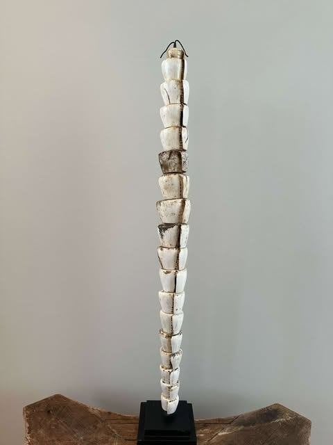 Schelpen Toren Papoea-Nieuw-Ginea, Antiek en Kunst, Ophalen
