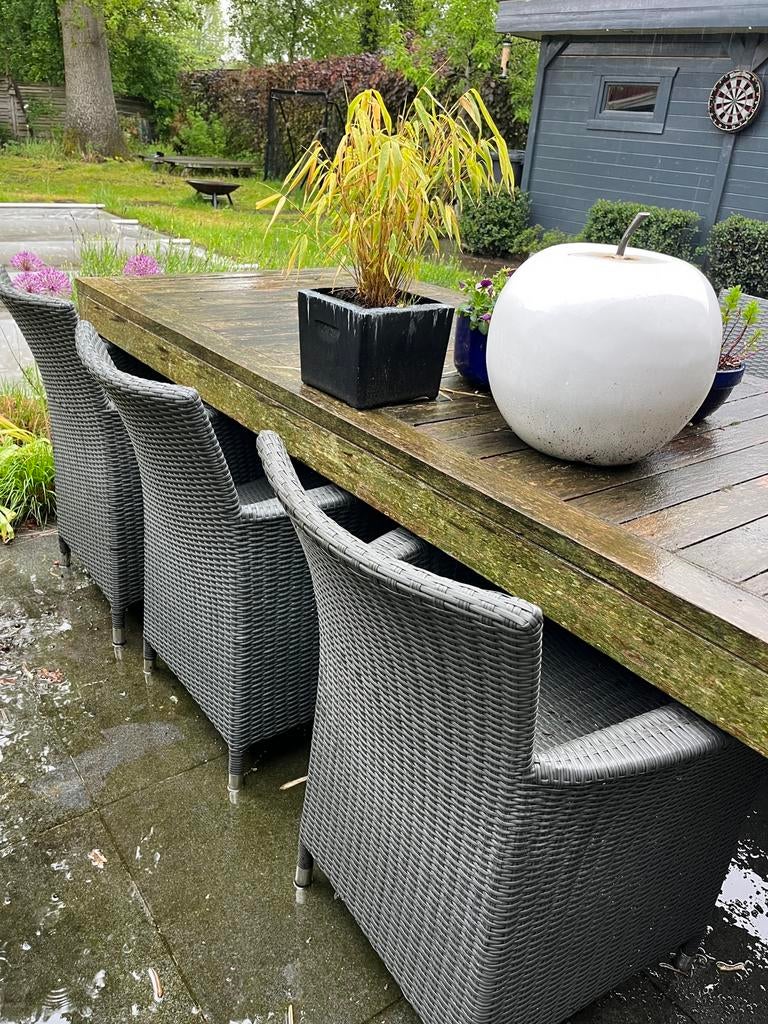 6 tuinstoelen grijs (tafel indien gewenst gratis), Chaise, Osier, Enlèvement, Utilisé