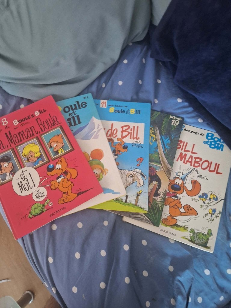 quasi intégrale lot 23 bd boule et bill vintage  une eo1969, Meerdere stripboeken, Ophalen, Gelezen