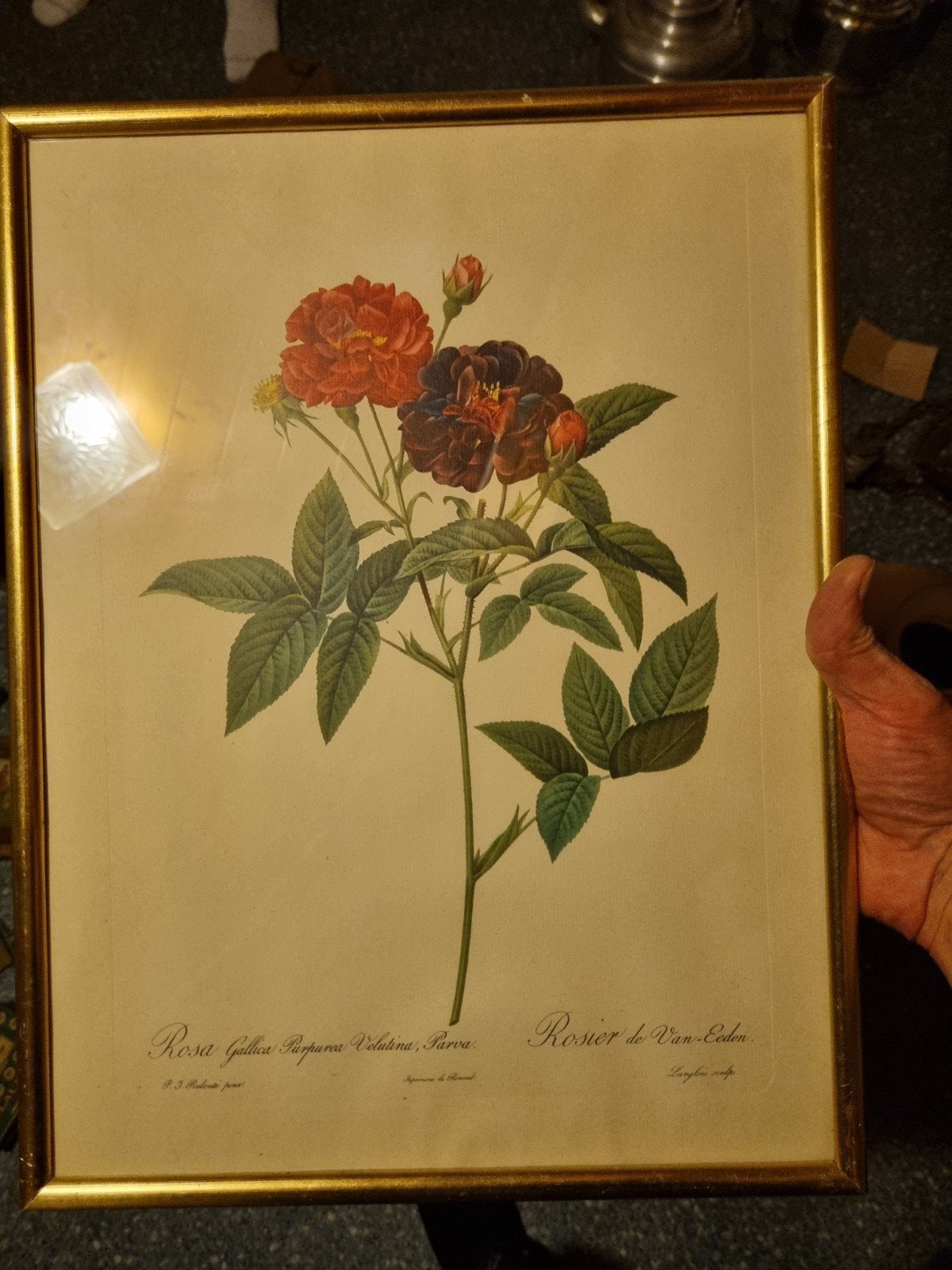 Tableaux floraux, Antiquités & Art, Enlèvement ou Envoi