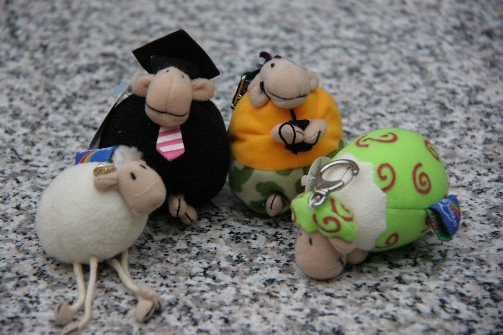 zachte sleutelhangers, Ophalen of Verzenden, Nieuw, Knuffel of Figuurtje