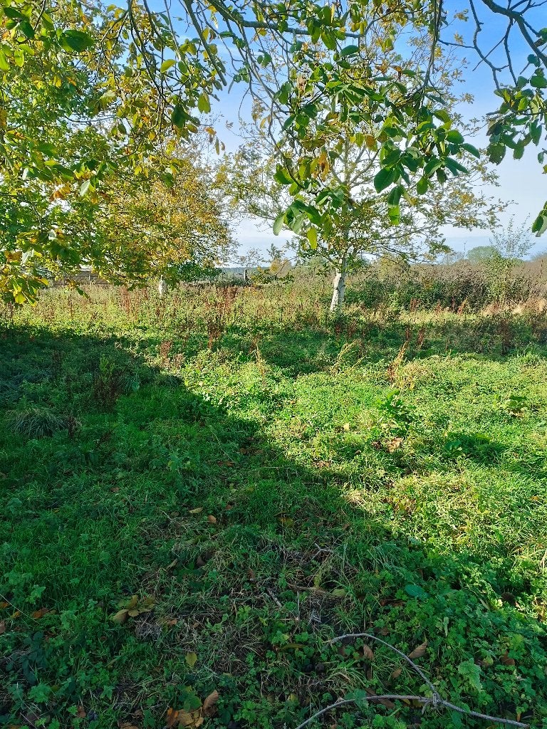 Prairie à louer région de Mons, Ophalen, Overige typen