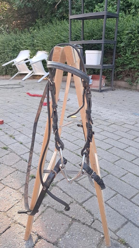 Hoofdstel shetlander of kleiner, Dieren en Toebehoren, Ophalen, Gebruikt, Recreatie