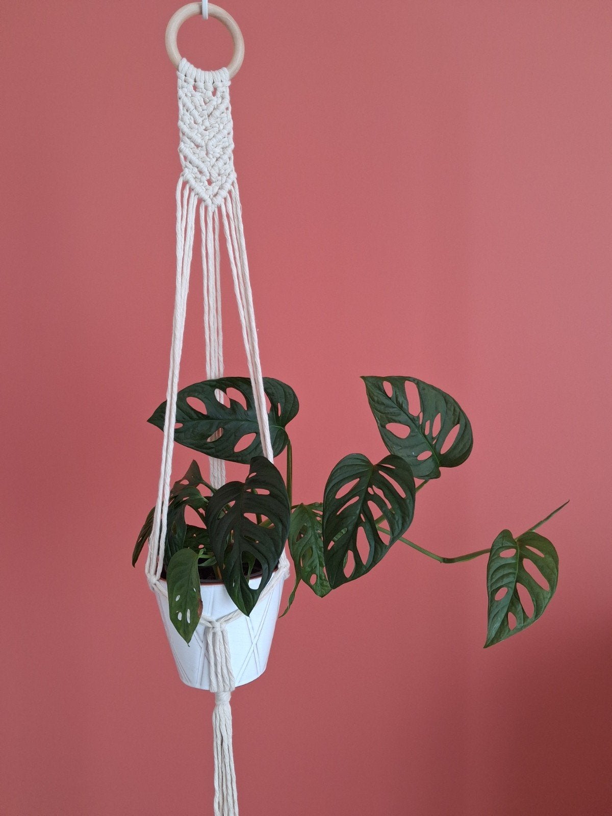Macramé plantenhanger, Ophalen