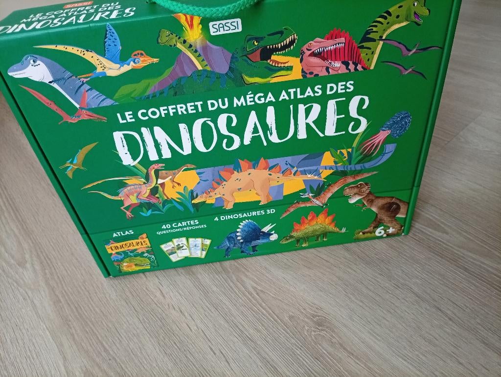 Jeux, 1 ou 2 joueurs, Enlèvement, Neuf, Sassi