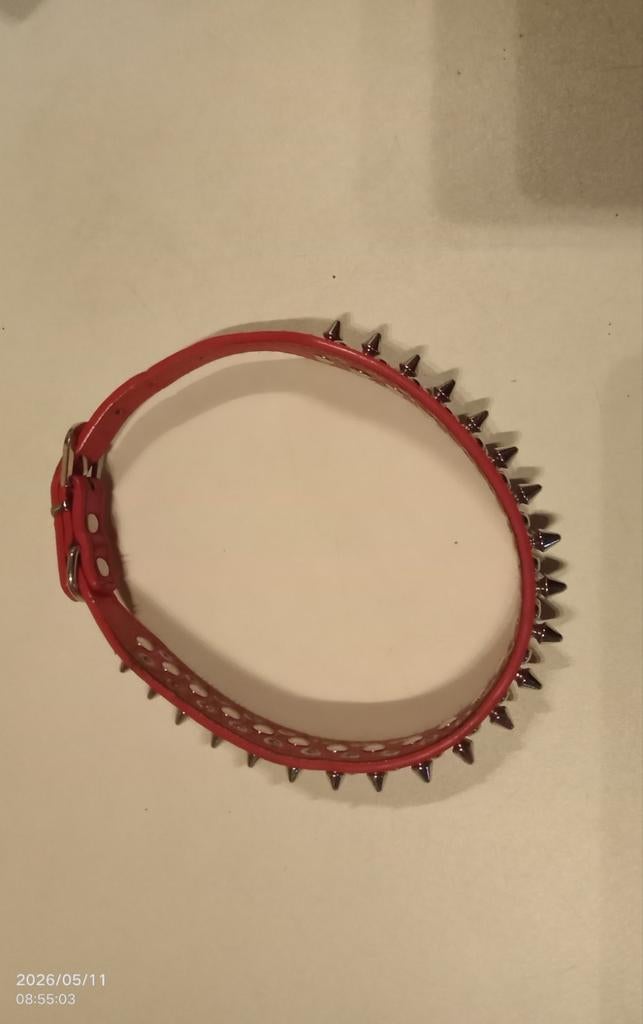 Halsband hond, Dieren en Toebehoren, Hondenriemen, Ophalen, Zo goed als nieuw, Hondenriem