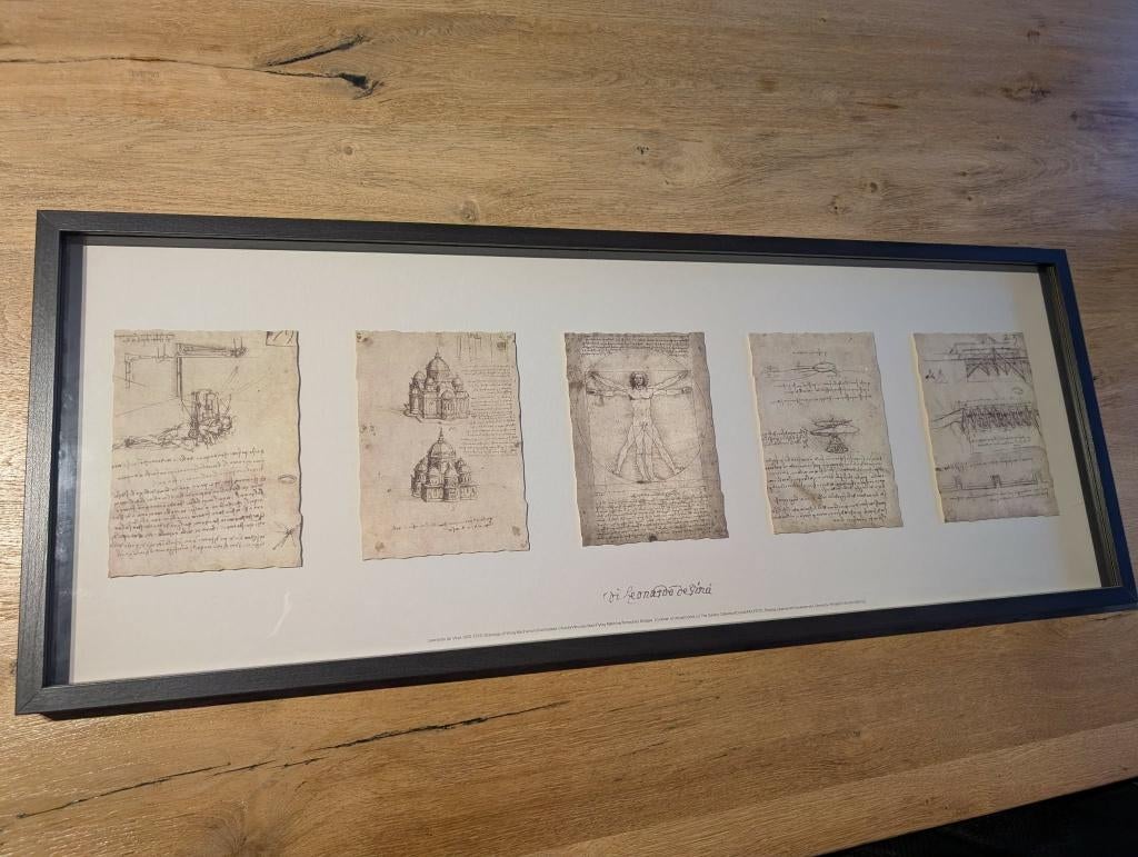 Leonardo Da Vinci ingelijste illustraties - Ikea Olunda, Antiek en Kunst, Ophalen