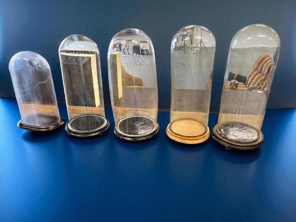 Vintage glazen stolp met houten voet, Bois, Enlèvement