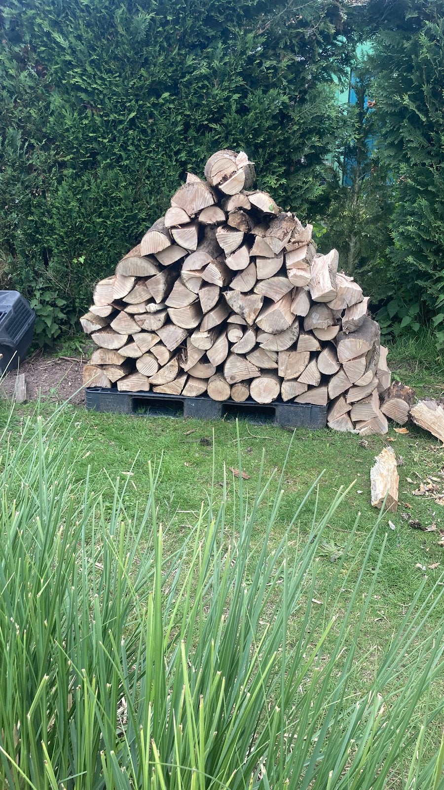 Droog brzndhout, Tuin en Terras, Ophalen