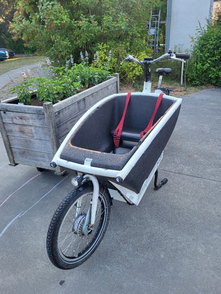 Urban Arrow Family (elektrisch) met raincover en slot, Gebruikt, Elektrisch, 2 kinderen, Trommelrem
