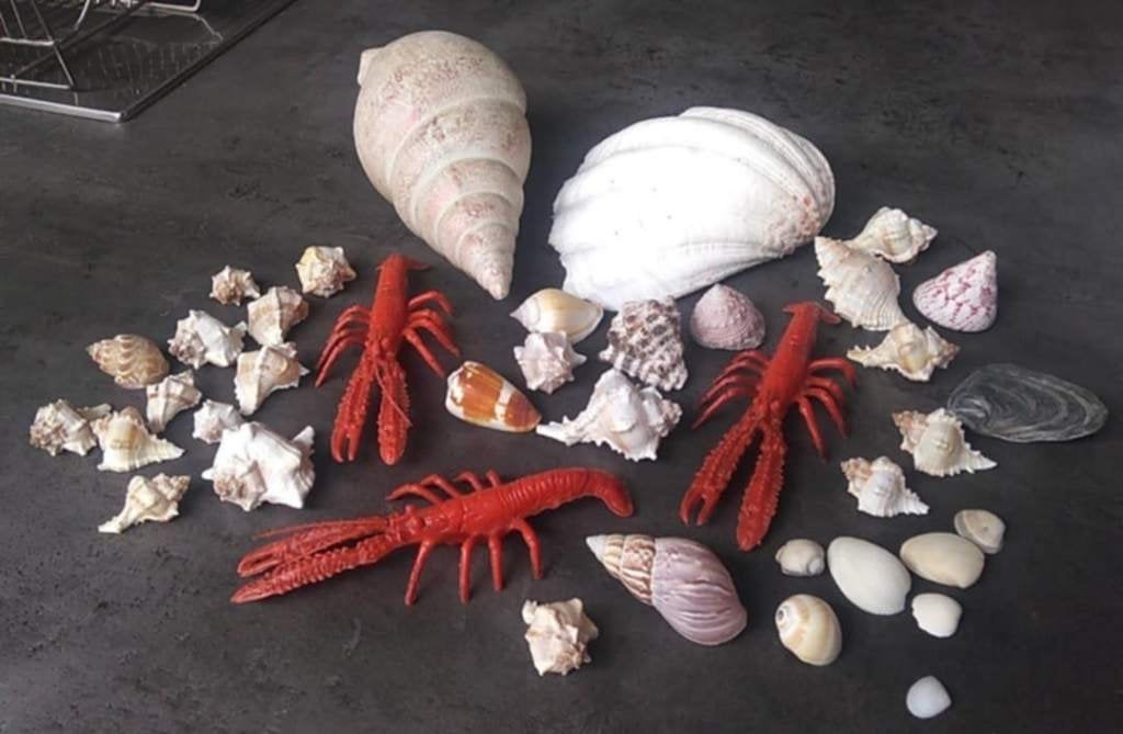 strand zee decoratie, Ophalen of Verzenden