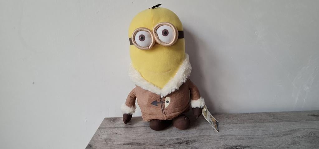 Minion, Ophalen of Verzenden