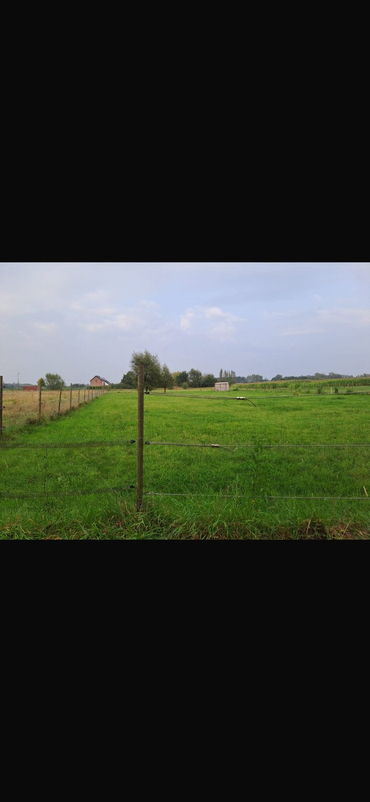 Landbouwgrond te koop Kampenhout, Articles professionnels, Agriculture | Immobilier agricole, Enlèvement