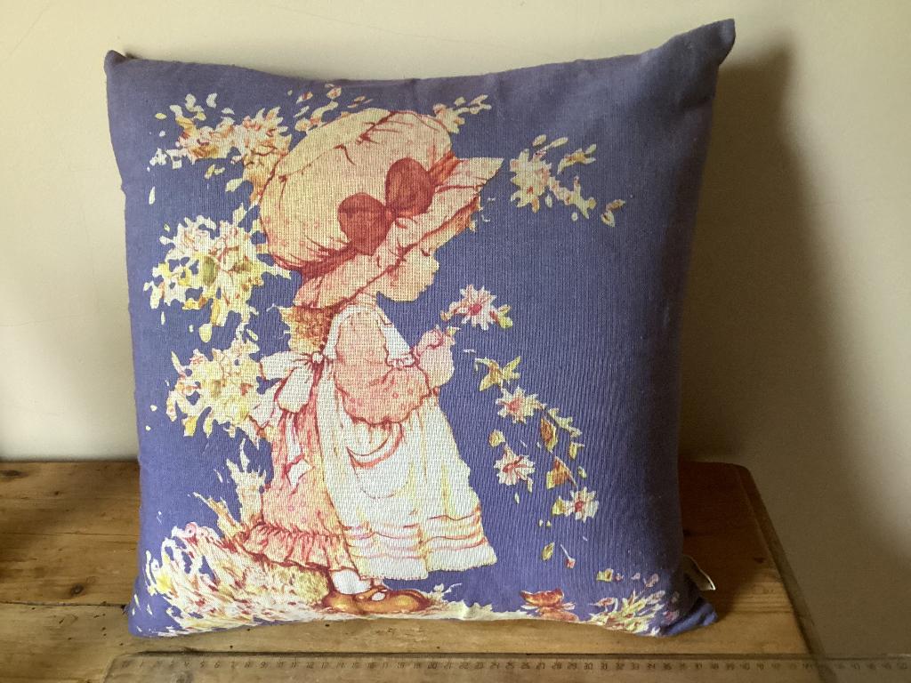 Kussen Holly Hobbie, Enlèvement, Utilisé, Ustensile