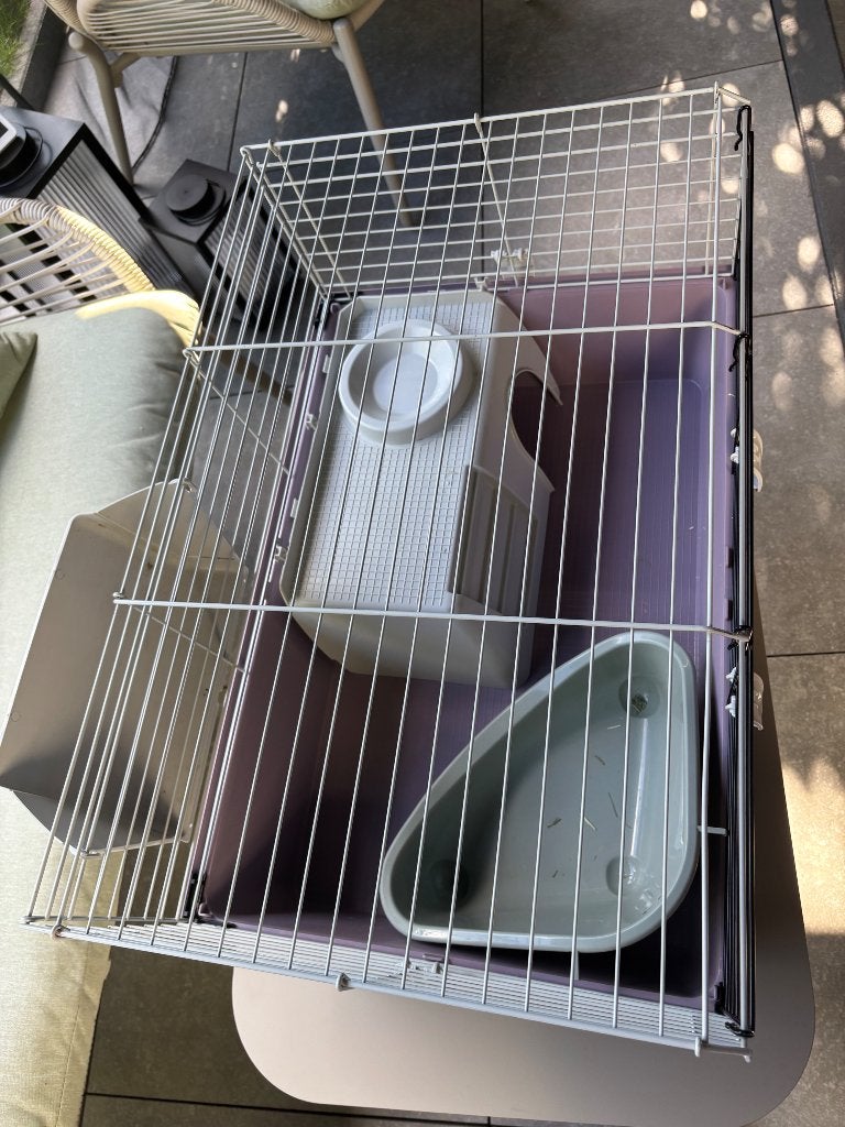 Cage cochon d’inde, Animaux & Accessoires, Rongeurs & Lapins | Cages & Clapiers, Enlèvement, Comme neuf, Cage, Cobaye