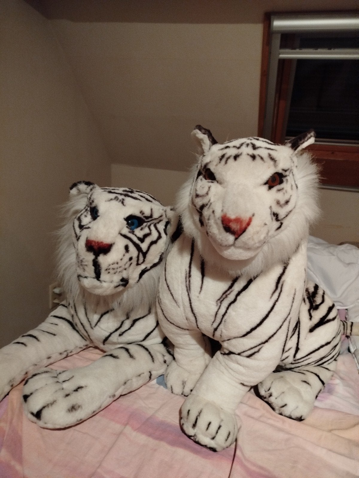 Beaux tigres, Enlèvement
