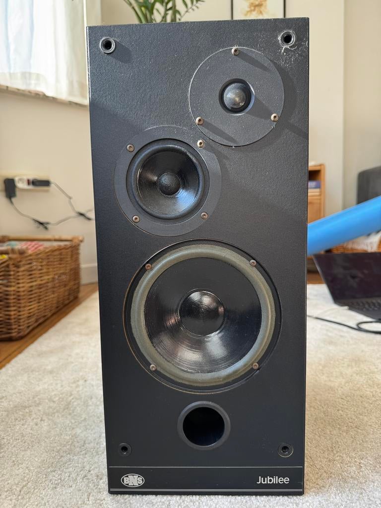 Passieve Speaker - BNS Jubilee 8 Ohms, Audio, Tv en Foto, Gebruikt, 120 watt of meer, Center speaker, Ophalen