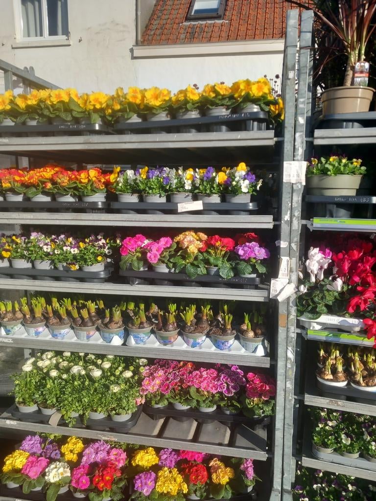 Qui peut transporter des fleurs du houx des bois jusqu'à 3 f, Offres d'emploi, Emplois | Chauffeurs