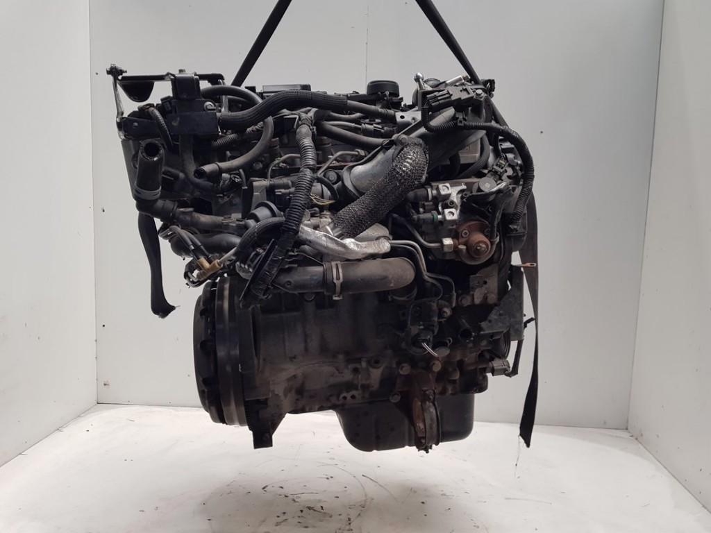 MOTEUR Ford Fiesta 6 (JA8) (01-2008/01-2018), Dhr. J. Ham, Administratie@autoham.nl, Nijkerkerstraat 27a 27a
3821 CD  AMERSFOORT, NL