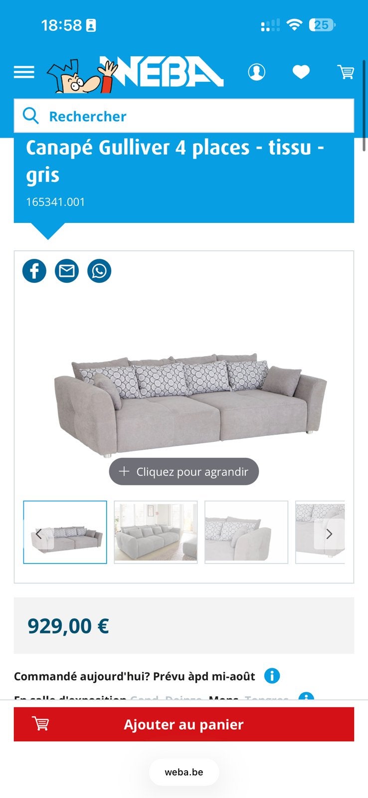 Canape xxl gris, Maison & Meubles, Canapés | Salons, Comme neuf, Enlèvement