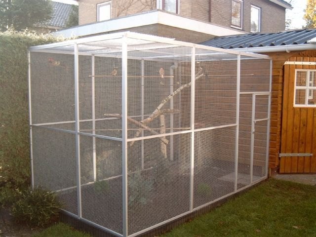 Nieuw vogel Vogeliere kattenren volledig in draad van 2 op3m, Enlèvement, Neuf, Aluminium, Volière