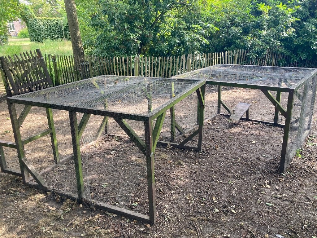 Tweedelige ren + hok voor kippen of eenden, Kip