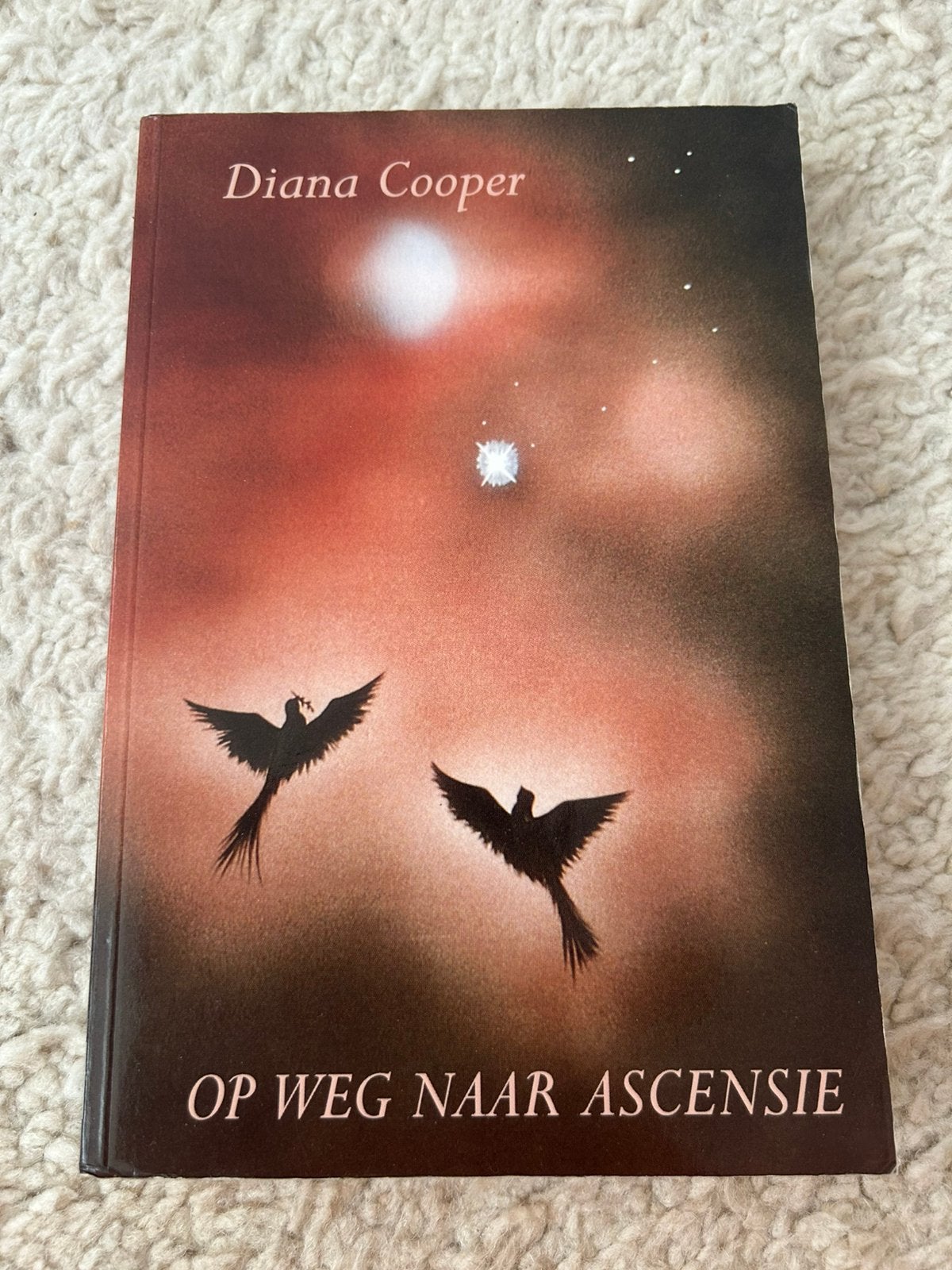 D. Cooper - Op weg naar Ascensie, Livres, Philosophie, Enlèvement, Utilisé, Autres sujets/thèmes, D. Cooper