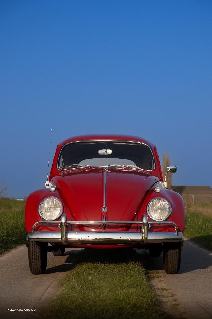 VW coccinelle 1200 BWJ 1962 parfait état, contrôle+ garantie, Rouge, Achat, Entreprise, Garantie prolongée