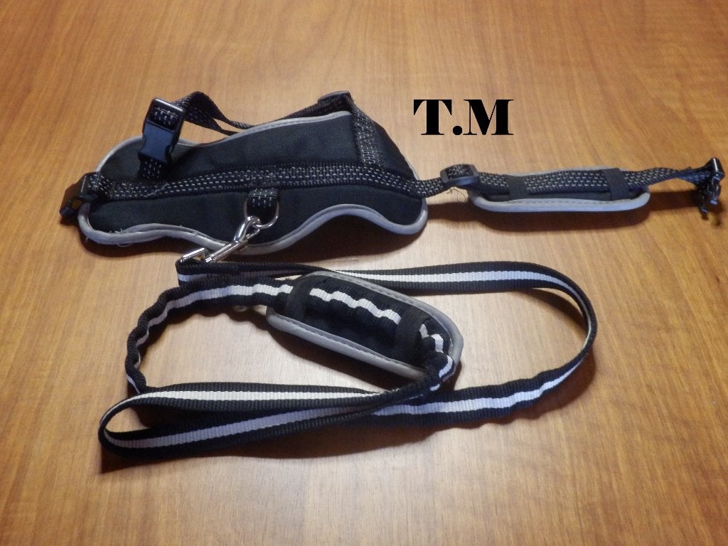 (11)- harnais + laisse noir gris petit chien T.M, Animaux & Accessoires, Enlèvement ou Envoi, Comme neuf, Laisse pour chien