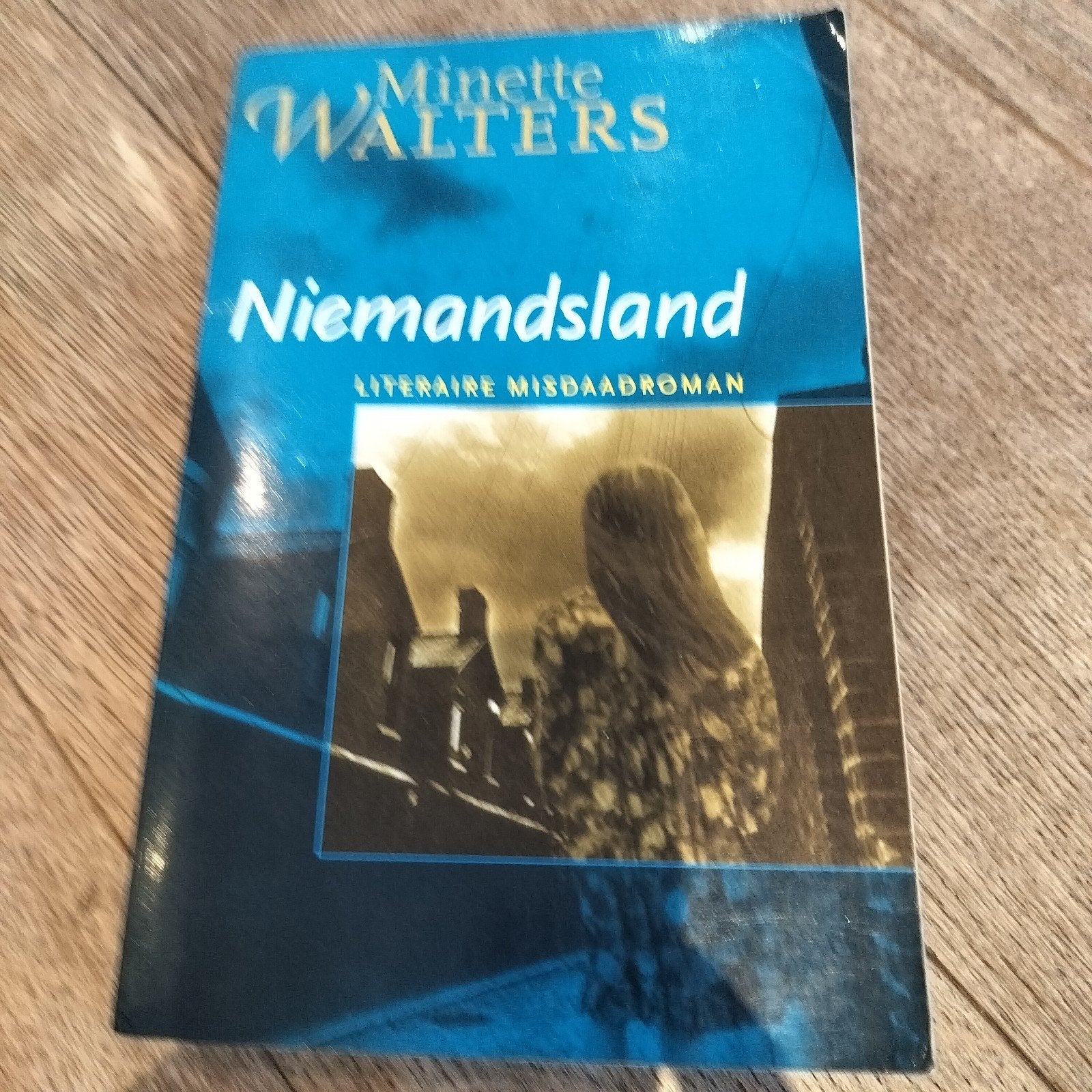 Minette Walters - Niemandsland, Boeken, Ophalen, Minette Walters