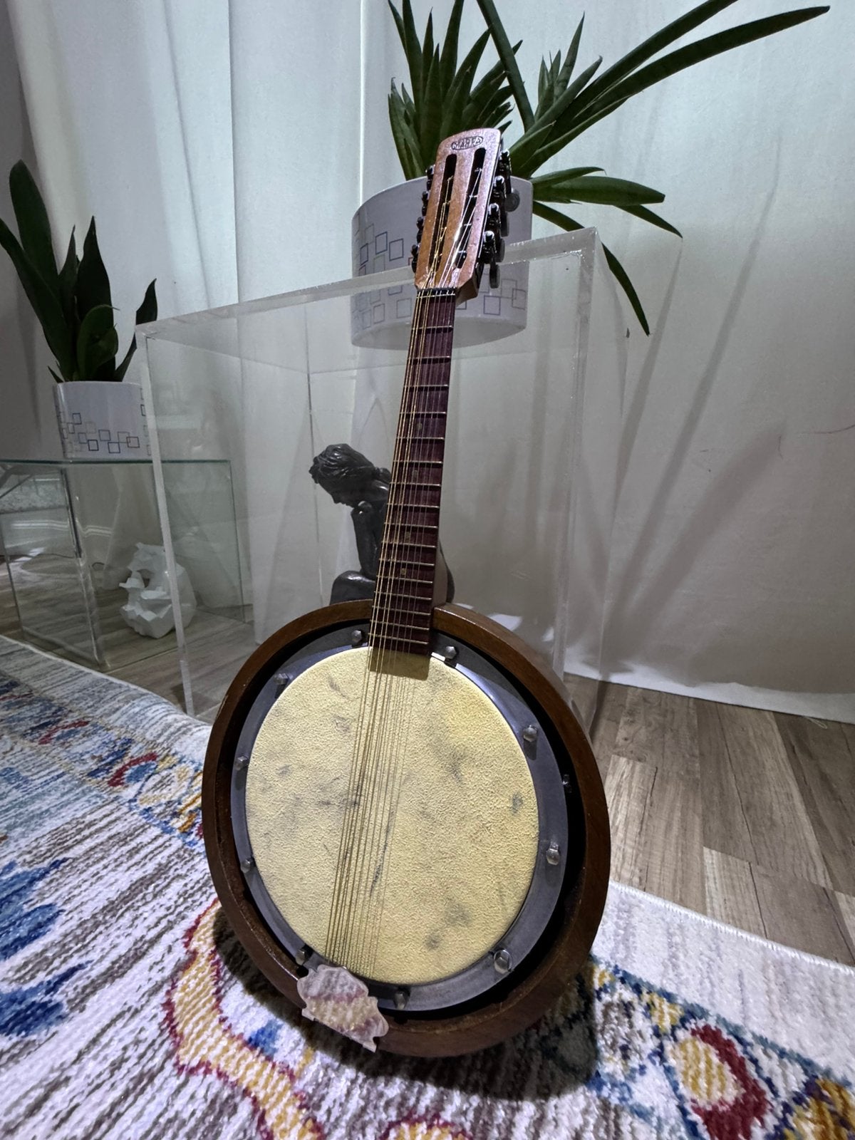 Leuke en unieke vintage mandobanjo, Ophalen of Verzenden, Gebruikt, Mandolinebanjo