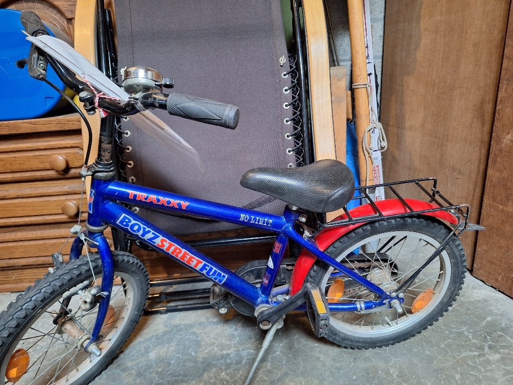 Kinderfietsen, Ophalen, Terugtraprem, Zijwieltjes, 16 tot 20 inch